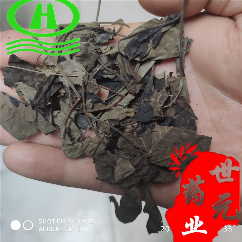 木豆叶8云~03_副本.jpg