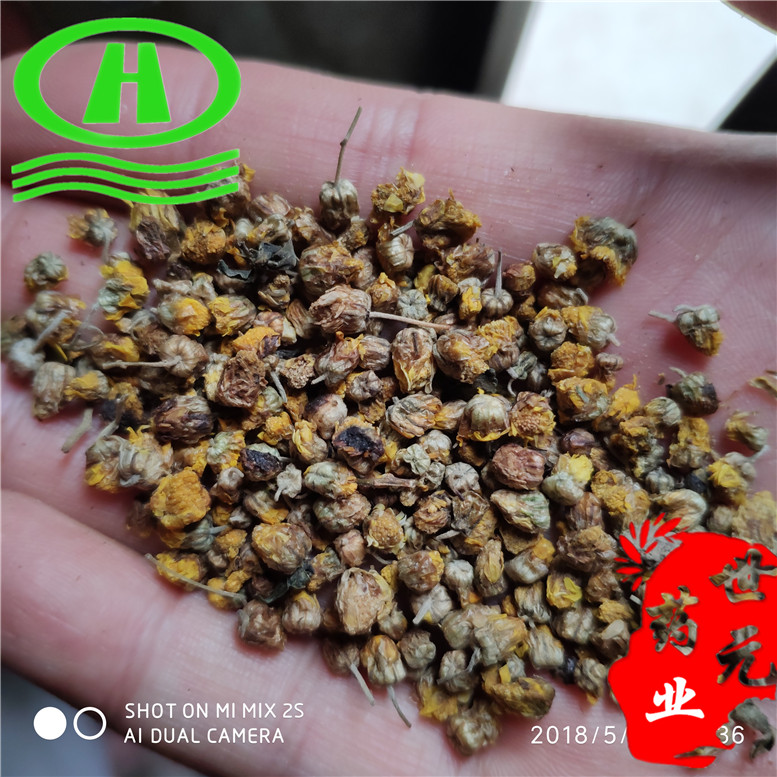 野菊花65吕东北~09_副本.jpg