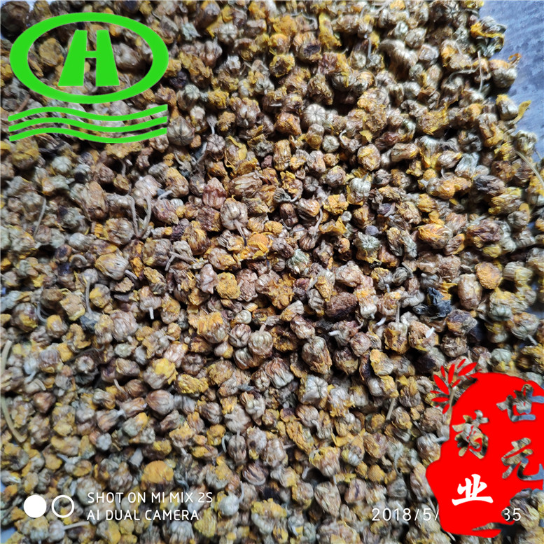 野菊花65吕东北_副本.jpg