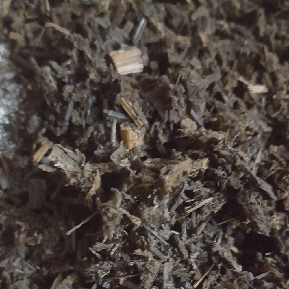 荆芥炭_副本.jpg