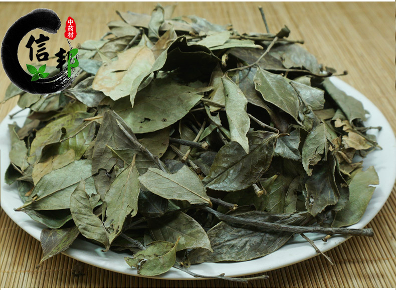 南烛叶详情4.jpg