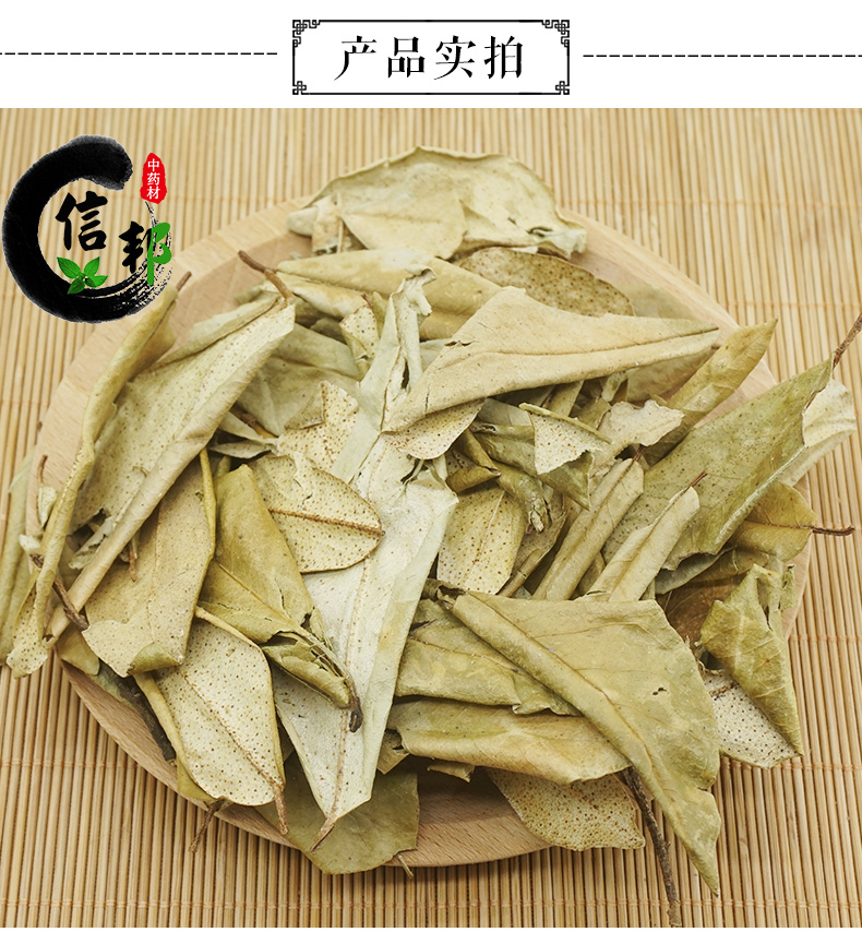 胡秃子叶_03.jpg
