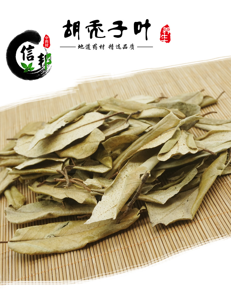 胡秃子叶_01.jpg