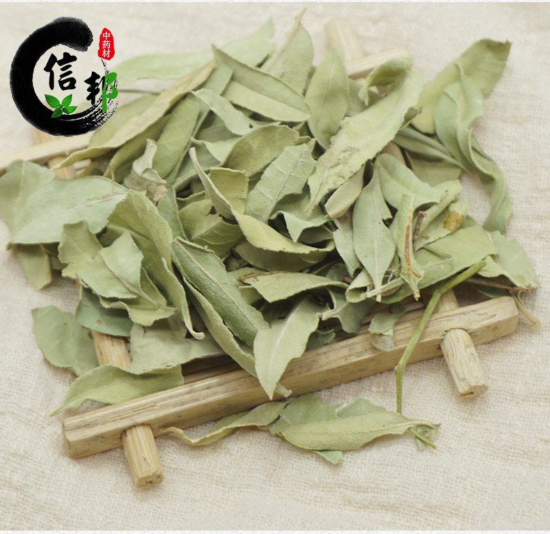 罗布麻详情6.jpg
