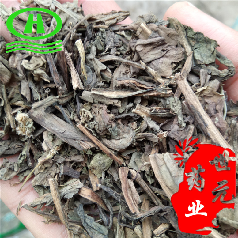 自然色山西丹参圆片18统片~09_副本.jpg