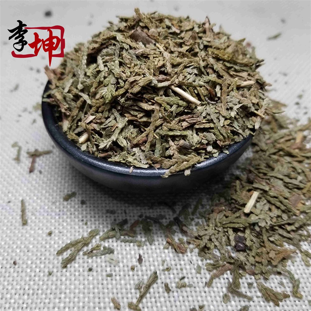 侧柏叶统货1.jpg