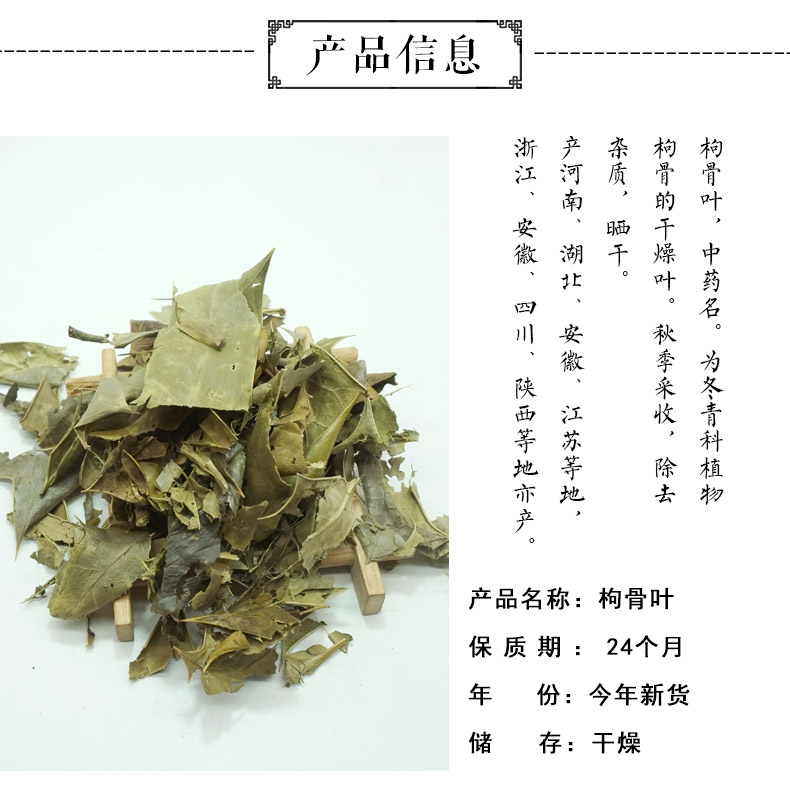 枸骨叶详情2.jpg