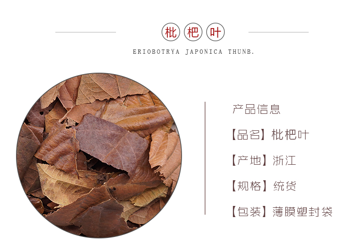 枇杷叶_01.jpg