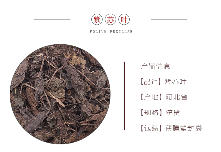 1688new模板紫苏_01.jpg