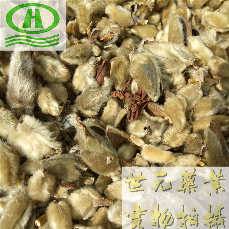 破壁灵芝孢子.jpg