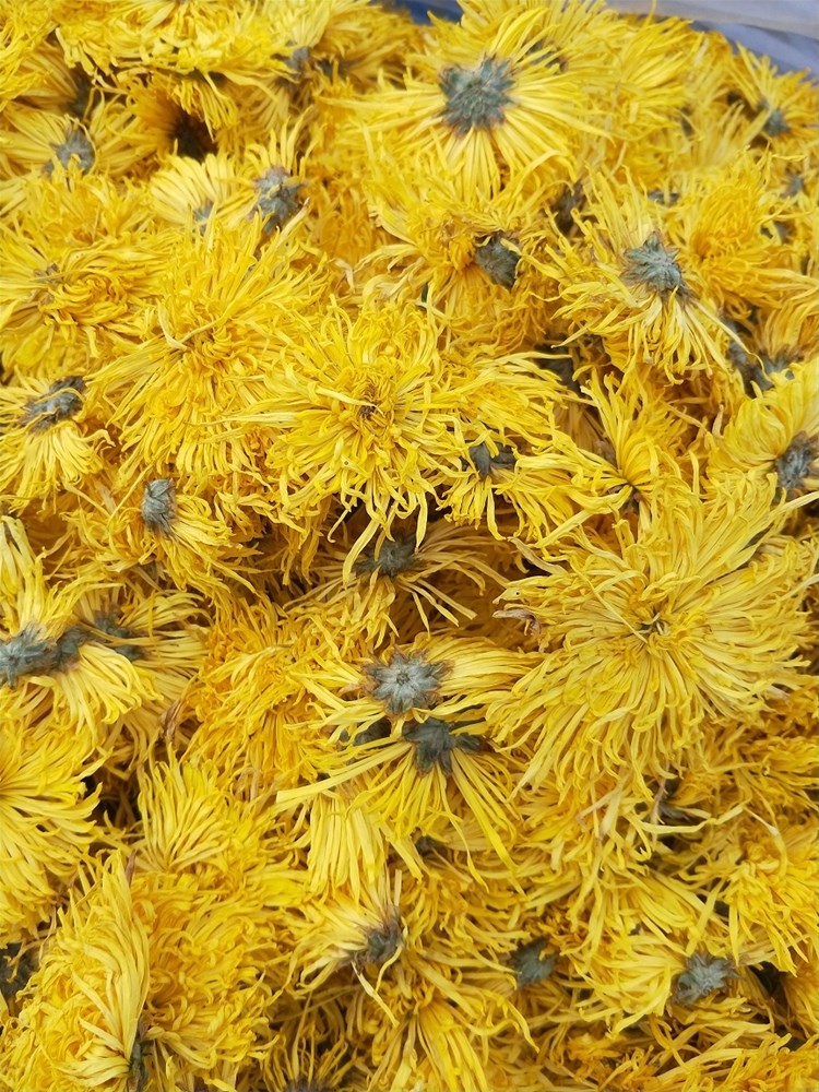 IMG20191201083353.jpg