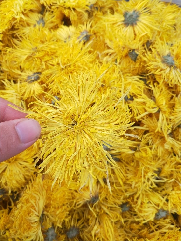 IMG20191201083358.jpg