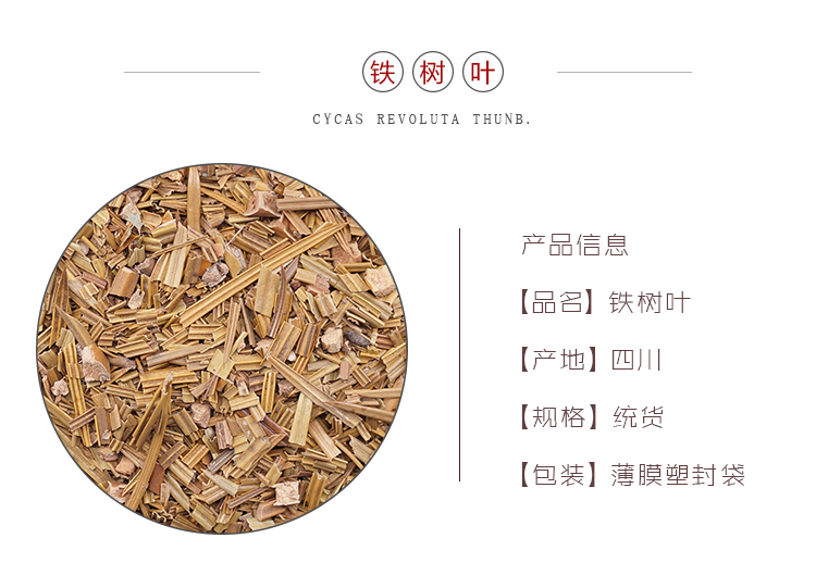 详情页铁树叶_01.jpg
