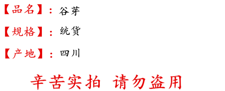 谷芽统货.jpg