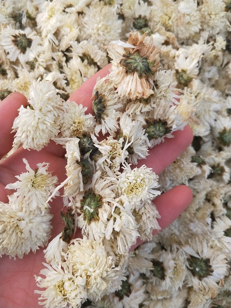 IMG20191201083815.jpg