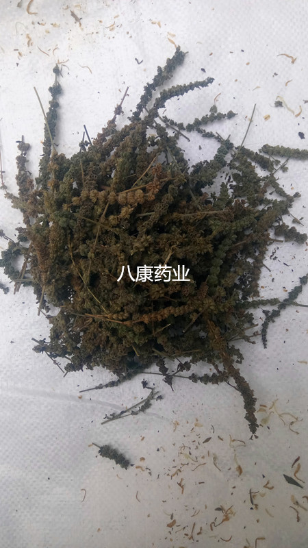 IMG_20170318_143513_副本.jpg