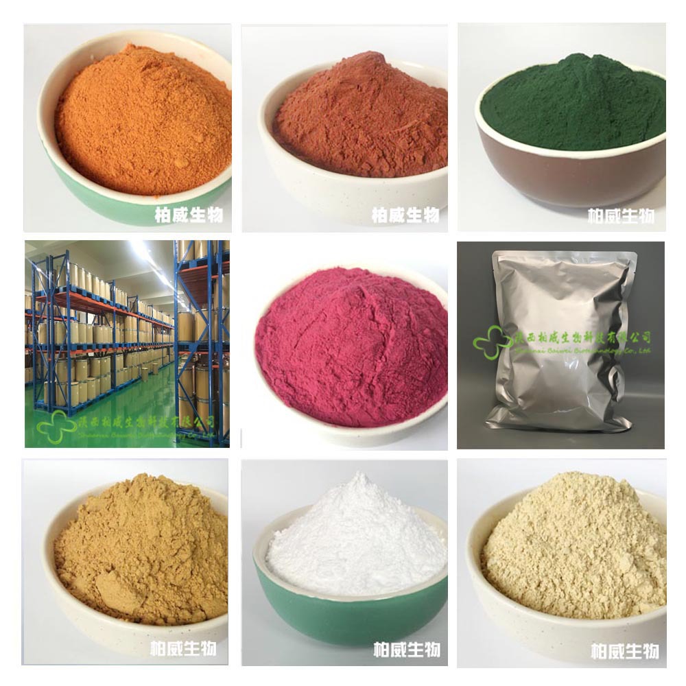 芦荟冻干粉 芦荟凝胶冻干粉 200:1 水溶天然原料 芦荟凝胶 工厂示例图13