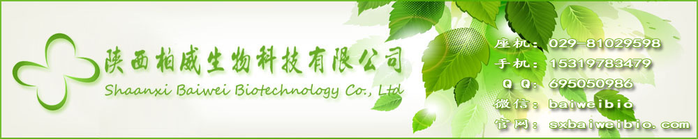 芦荟冻干粉 芦荟凝胶冻干粉 200:1 水溶天然原料 芦荟凝胶 工厂示例图1