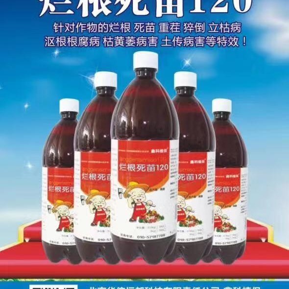 草莓的叶斑病咋治 草莓的疫病 草莓的早期病害防止 草莓的主要病害 草莓楴腐病 草莓地可用生石灰抗重茬吗 草莓地烂根死苗预示例图3