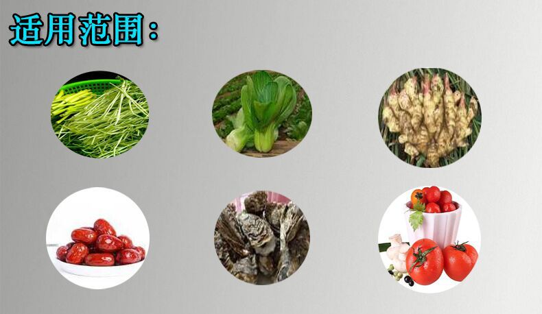芦荟清洗机 气泡喷淋清洗机 龙须菜水浴式清洗机示例图12