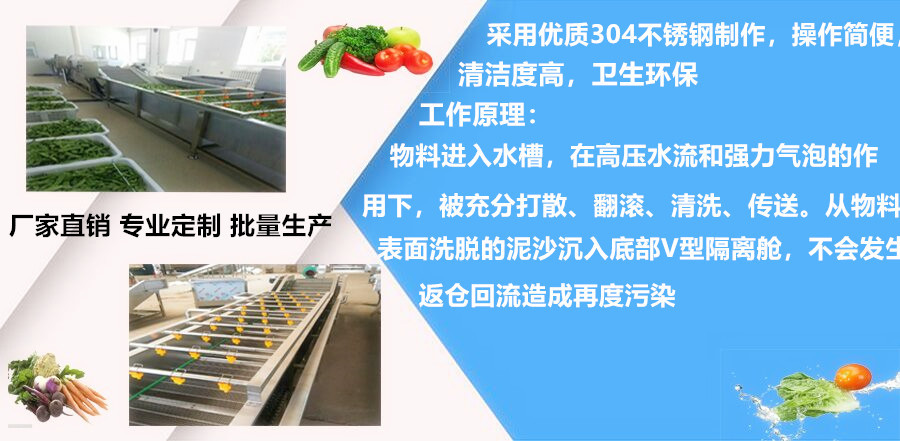 芦荟清洗机 气泡喷淋清洗机 龙须菜水浴式清洗机示例图14