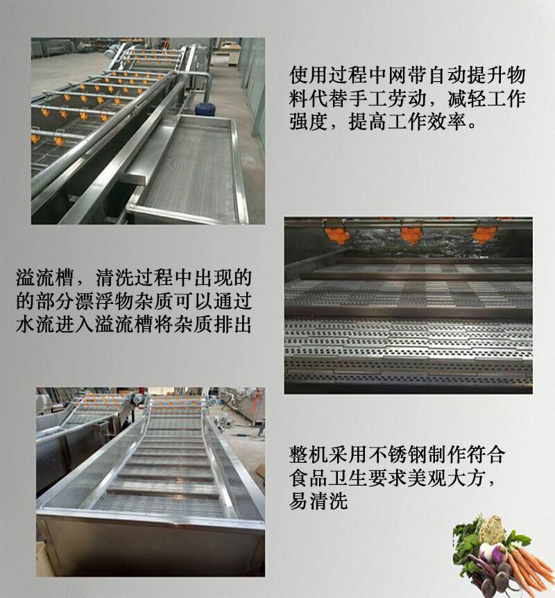 芦荟清洗机 气泡喷淋清洗机 龙须菜水浴式清洗机示例图11