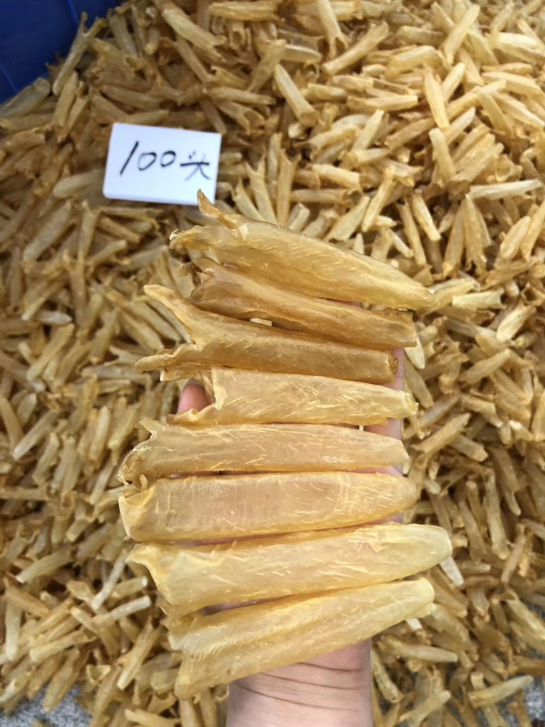 【100头黄花胶】鱼胶花胶筒鳕鱼胶大量批发诚招代理一手货源示例图9