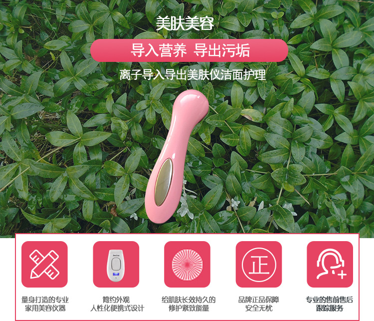 美容仪 离子导入导出洁面护理美容仪 电动家用改善粉刺电子美容仪示例图1